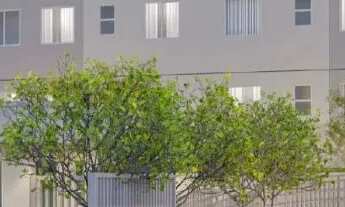 Imagem: Últimas unidades no Bairro da Várzea