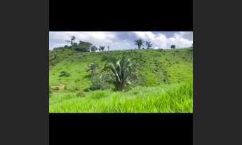 Imagem 2: Terra 5 alqueires na beira do asfalto! pega caminhonete ..?