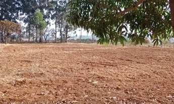 Imagem 5: Venha ter a sua chácara!!!