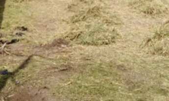 Imagem 3: Novo Aleixo Terreno / lote com venda por R$115.000