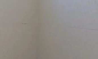 Imagem 5: Linda casa em guarulhos