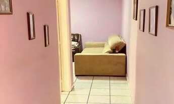 Imagem 7: Otima Casa Terra