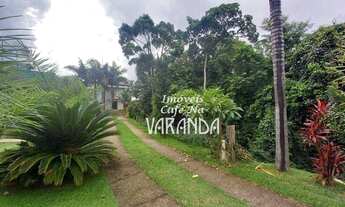 Imagem 3: VERDE EXUBERANTE ! 4.200 METROS !