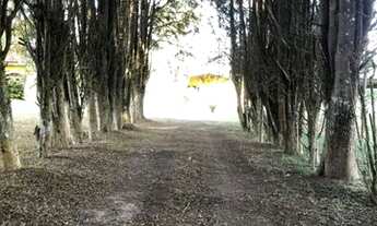 Imagem 6: AS/Residencial Vila Itália no interior de SP em Ibiúna whats