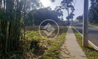 Imagem 6: Terreno de 420 m2 à venda no bairro Pinheirinho codigo: 25982