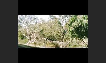 Imagem 5: Vendo chácara (Ceilândia-Psul