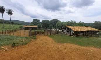 Imagem: Fazenda 1.512 há, casa sede e de caseiro