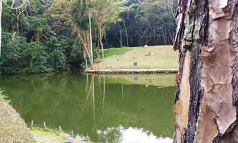 Imagem 4: Pesqueiro em Santa Isabel -SP