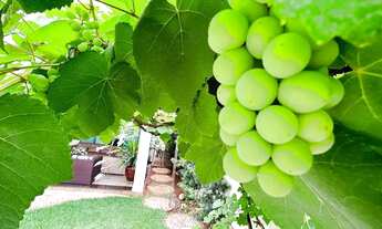 Imagem 6: Sobrado para aluguel tem 320 metros quadrados com 4 quartos em Residencial Granville - Goi