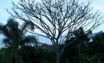 Imagem 2: Terreno de 15008m² no bairro Santo Antônio De Lisboa