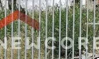 Imagem 3: Lote em Rua Siqueira Campos - Vila Souto - Bauru/SP