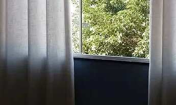 Imagem: Vendo casa com árvores frutíferas