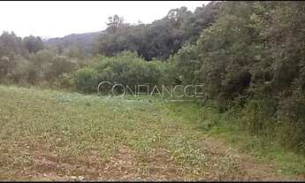 Imagem 2: Area a venda em Campo Magro - PR