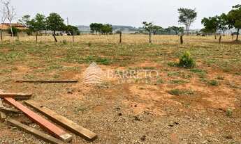 Imagem 6: Lote Americano do Brasil