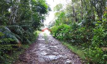 Imagem 6: Lote em Rua Quatis - Colinas - São Francisco de Paula/RS