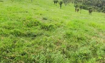 Imagem 5: Terreno situado em Marechal Deodoro- AL na beira da Lagoa com 41 hectares