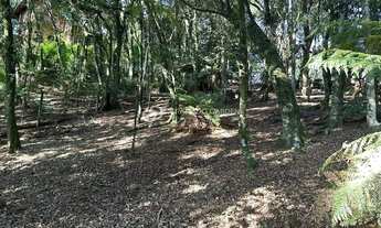 Imagem 3: TERRENO NO CONDOMINIO LAGOS DE GRAMADO