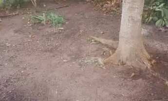 Imagem 4: Casa Cabo Frio - 5 Minutos da Praia do Peró