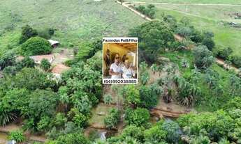 Imagem: Sitio em bela vista com o melhor preço