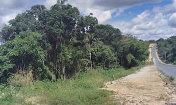 Imagem 3: Vendo área de 436.500m2 na Rodovia AM 070 km 18