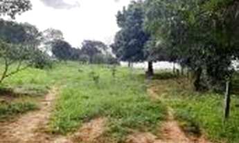 Imagem 4: Fazenda municipio FecaL, Brasilia-DF