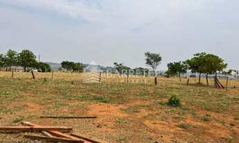 Imagem 2: Lote Americano do Brasil