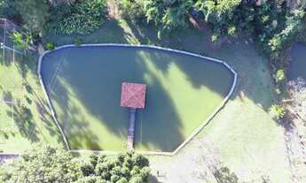 Imagem 6: Chácara de 03 alqueires em Bela vista-GO