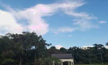 Imagem 4: Vendo área de 436.500m2 na Rodovia AM 070 km 18