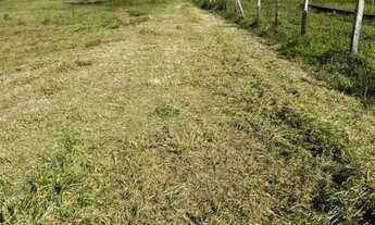 Imagem 7: Vendo Chácaras , na Colônia do Piagui em Guaratinguetá SP