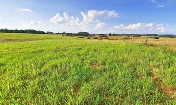 Imagem: Área rural com açude em viamão