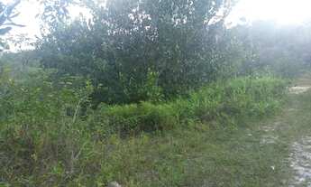 Imagem: Vendo área de 436.500m2 na Rodovia AM 070