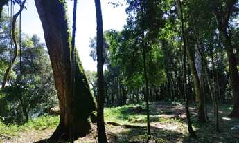 Imagem 6: Sítio / Chácara para Venda em Nova Petrópolis, Linha Imperial