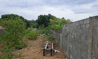 Imagem 4: LOTE SETOR AMIM CAMARGO GOIÂNIA