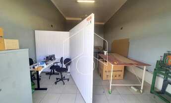 Imagem 2: Comercial GalpãoBarracão em Marília