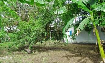 Imagem: Chácara à venda em Rosário Oeste 3 quartos