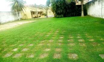 Imagem 3: Alugo casa em Santa Rita