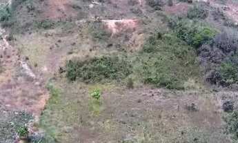 Imagem 4: Vendo Sitio com 7,5 Tarefas sem Casa, na Colônia 13 Lagarto-Se