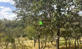 Imagem 3: Excelente lote com 525 m²