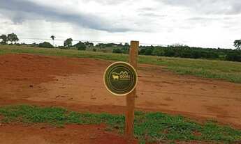 Imagem: 197 Alqueires Novo Brasil