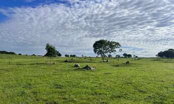 Imagem 7: SITIO LINDO PARAISO EM CUIABA 16,8 Hect