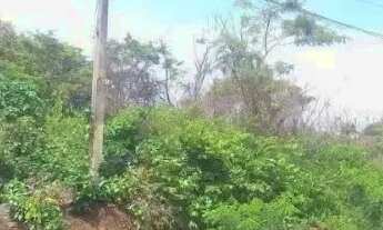 Imagem: Vendo Lote no Jd. Bom Bosco - APARECIDA