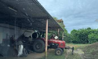 Imagem 5: Fazenda no Ramal Bela Vista