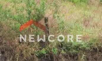 Imagem 4: Lote em Alameda Serra da Cantareira - Canjica (Terra Preta) - Mairiporã/SP