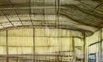 Imagem 3: Vende-se uma excelente fazenda