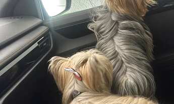 Imagem 4: Terreno em São Jose dos Pinhais