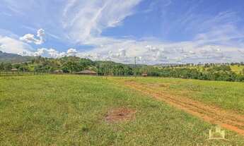 Imagem 4: Fazenda 32 Alqueires - Sanclerlândia Goiás