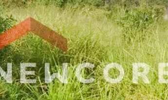 Imagem 7: Lote em Avenida São Camilo - Granja Viana - Carapicuíba/SP