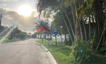 Imagem 3: Lote em Alameda São Caetano - Boracéia - São Sebastião/SP