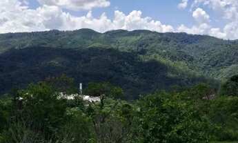 Imagem: TERRENO RESIDENCIAL em SÃO PAULO - SP