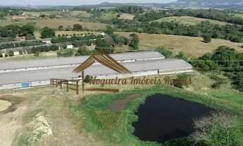 Imagem 7: Sitio com granjas, 200 mil aves